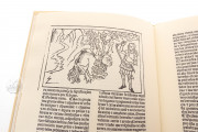 The Twelve Works of Hercules, Madrid, Biblioteca Nacional de España, Inc. 2441 − Photo 4