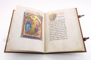 St. Peter Pericopes from St. Erentrud, Clm 15903 - Bayerische Staatsbibliothek (Munich, Germany) − photo 11