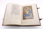 St. Peter Pericopes from St. Erentrud, Munich, Bayerische Staatsbibliothek, Clm 15903 − Photo 12