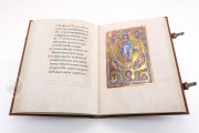 St. Peter Pericopes from St. Erentrud, Clm 15903 - Bayerische Staatsbibliothek (Munich, Germany) − photo 14