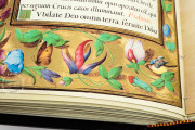 Book of Hours of Philip II, San Lorenzo de El Escorial, Real Biblioteca del Monasterio de El Escorial, Ms Vitrina 2 − Photo 6