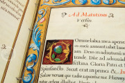 Book of Hours of Philip II, San Lorenzo de El Escorial, Real Biblioteca del Monasterio de El Escorial, Ms Vitrina 2 − Photo 14