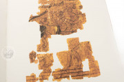Erotic Papyrus, Turin, Museo Egizio di Torino, N. Inv. C. 2031 (CGT 55001)
Madrid, Biblioteca Nacional de España, Dib.18/1/6484 − Photo 14