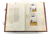 Divine Comedy - Dante Gradenighiano, Rimini, Biblioteca Civica Gambalunga, ms. SC-MS. 1162 (D II 41) − Photo 14