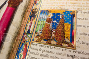 Leggendario Sforza-Savoia, Turin, Biblioteca Reale di Torino, Cod. Varia 124 − Photo 10