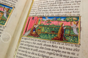 Leggendario Sforza-Savoia, Turin, Biblioteca Reale di Torino, Cod. Varia 124 − Photo 15