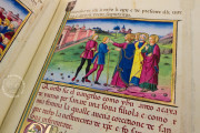 Leggendario Sforza-Savoia, Turin, Biblioteca Reale di Torino, Cod. Varia 124 − Photo 20