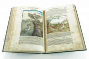 Discorsi del Mattioli Illustrated by Gherardo Cibo, Rari 278 - Biblioteca Alessandrina (Rome, Italy) Biblioteca Alessandrina (Rome, Italy) − photo 4