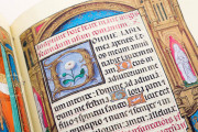 Book of Hours of Alexander VI, Pope Borgia, Bruxelles, Bibliothèque Royale de Belgique, Ms. IV 480 − Photo 15