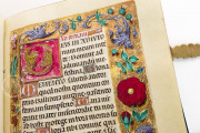 Book of Hours of Alexander VI, Pope Borgia, Bruxelles, Bibliothèque Royale de Belgique, Ms. IV 480 − Photo 20