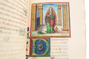Hours of Anna Sforza, Modena, Biblioteca Estense Universitaria, Lat. 74 = alfa Q. 9. 31 − Photo 14