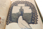 Regia Carmina, London, British Library, Royal 6 E IX − Photo 5