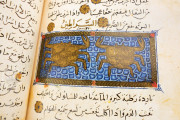 Libro de la Utilidad de los Animales, San Lorenzo de El Escorial, Real Biblioteca del Monasterio de El Escorial, ms. árabe 898 − Photo 3