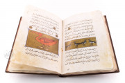 Libro de la Utilidad de los Animales, San Lorenzo de El Escorial, Real Biblioteca del Monasterio de El Escorial, ms. árabe 898 − Photo 5