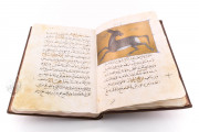 Libro de la Utilidad de los Animales, San Lorenzo de El Escorial, Real Biblioteca del Monasterio de El Escorial, ms. árabe 898 − Photo 6