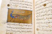 Libro de la Utilidad de los Animales, San Lorenzo de El Escorial, Real Biblioteca del Monasterio de El Escorial, ms. árabe 898 − Photo 8