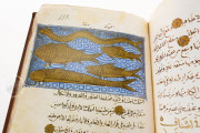 Libro de la Utilidad de los Animales, San Lorenzo de El Escorial, Real Biblioteca del Monasterio de El Escorial, ms. árabe 898 − Photo 9