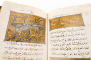 Libro de la Utilidad de los Animales, San Lorenzo de El Escorial, Real Biblioteca del Monasterio de El Escorial, ms. árabe 898 − Photo 12