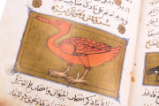 Libro de la Utilidad de los Animales, San Lorenzo de El Escorial, Real Biblioteca del Monasterio de El Escorial, ms. árabe 898 − Photo 13