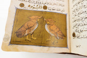 Libro de la Utilidad de los Animales, San Lorenzo de El Escorial, Real Biblioteca del Monasterio de El Escorial, ms. árabe 898 − Photo 15