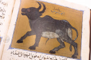 Libro de la Utilidad de los Animales, San Lorenzo de El Escorial, Real Biblioteca del Monasterio de El Escorial, ms. árabe 898 − Photo 16