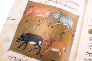 Libro de la Utilidad de los Animales, San Lorenzo de El Escorial, Real Biblioteca del Monasterio de El Escorial, ms. árabe 898 − Photo 18