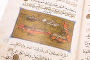 Libro de la Utilidad de los Animales, San Lorenzo de El Escorial, Real Biblioteca del Monasterio de El Escorial, ms. árabe 898 − Photo 20