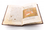 Libro de la Utilidad de los Animales, San Lorenzo de El Escorial, Real Biblioteca del Monasterio de El Escorial, ms. árabe 898 − Photo 21