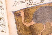 Libro de la Utilidad de los Animales, San Lorenzo de El Escorial, Real Biblioteca del Monasterio de El Escorial, ms. árabe 898 − Photo 22