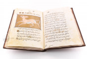 Libro de la Utilidad de los Animales, San Lorenzo de El Escorial, Real Biblioteca del Monasterio de El Escorial, ms. árabe 898 − Photo 23