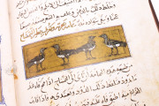 Libro de la Utilidad de los Animales, San Lorenzo de El Escorial, Real Biblioteca del Monasterio de El Escorial, ms. árabe 898 − Photo 24