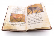 Libro de la Utilidad de los Animales, San Lorenzo de El Escorial, Real Biblioteca del Monasterio de El Escorial, ms. árabe 898 − Photo 25
