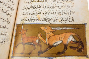 Libro de la Utilidad de los Animales, San Lorenzo de El Escorial, Real Biblioteca del Monasterio de El Escorial, ms. árabe 898 − Photo 28