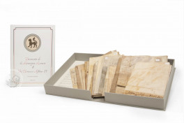 Documentos de la Monarquia Leonesa II (Collection) Facsimile Edition
