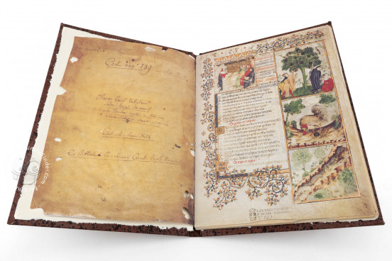Aesop's Fables, Bologna, Biblioteca Universitaria di Bologna, Ms. 1213 − Photo 1