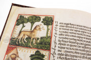 Aesop's Fables, Bologna, Biblioteca Universitaria di Bologna, Ms. 1213 − Photo 15