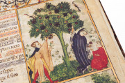 Aesop's Fables, Bologna, Biblioteca Universitaria di Bologna, Ms. 1213 − Photo 21