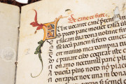 Aesop's Fables, Bologna, Biblioteca Universitaria di Bologna, Ms. 1213 − Photo 24