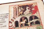 Aesop's Fables, Bologna, Biblioteca Universitaria di Bologna, Ms. 1213 − Photo 27