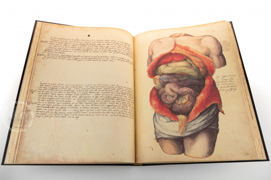 Anatomia Depicta, Florence, Biblioteca Nazionale Centrale − Photo 1