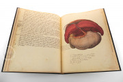 Anatomia Depicta, Florence, Biblioteca Nazionale Centrale − Photo 7