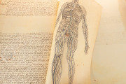 Anatomia Depicta, Florence, Biblioteca Nazionale Centrale − Photo 16