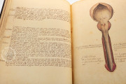 Anatomia Depicta, Florence, Biblioteca Nazionale Centrale − Photo 17