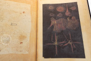 Anatomia Depicta, Florence, Biblioteca Nazionale Centrale − Photo 24