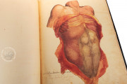Anatomia Depicta, Florence, Biblioteca Nazionale Centrale − Photo 25