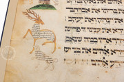 Ashkenazi Haggadah, London, British Library, Add. MS 14762 − Photo 5