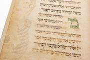 Ashkenazi Haggadah, London, British Library, Add. MS 14762 − Photo 16
