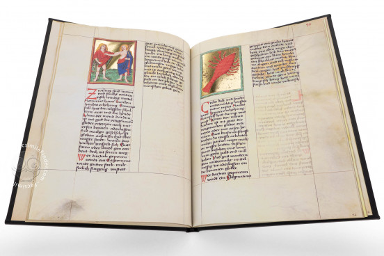 Macht der Gestirne, Heidelberg,Universitätsbibliothek Heidelberg, Cod. Pal. germ. 832 − Photo 1