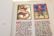 Macht der Gestirne, Heidelberg,Universitätsbibliothek Heidelberg, Cod. Pal. germ. 832 − Photo 10