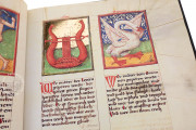 Macht der Gestirne, Heidelberg,Universitätsbibliothek Heidelberg, Cod. Pal. germ. 832 − Photo 11